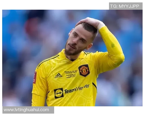 全球最受瞩目的足球明星现状与成就分析 全球最受瞩目的足球明星现状与成就分析