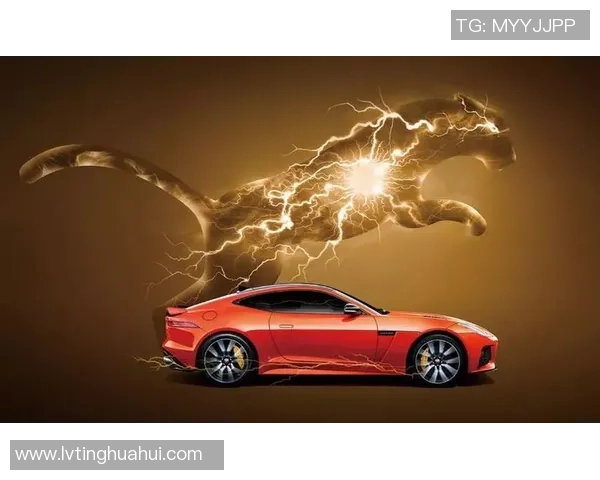 足球明星与豹子的精彩瞬间展现速度与力量的完美结合 足球明星与豹子的精彩瞬间展现速度与力量的完美结合